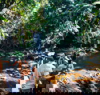 Aquaduck  Your choice of Gold Coast Rainforest Tour - Rent Accommodation