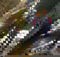 Blue Mountains Empress Canyon Adventure from Wentworth Falls - Rent Accommodation