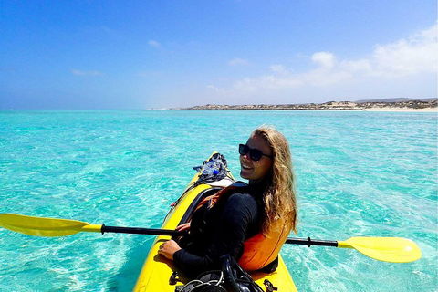 Lagoon Explorer - Ningaloo Reef Full-Day Kayaking And Snorkeling Adventure - Rent Accommodation 1