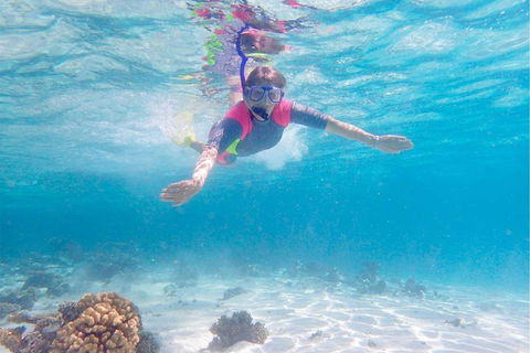 Lagoon Explorer - Ningaloo Reef Full-Day Kayaking And Snorkeling Adventure - Rent Accommodation 5