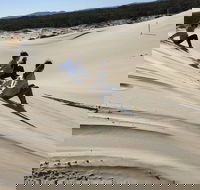 Port Stephens Bush Beach and Sand Dune 4WD Tag-Along Tour - Rent Accommodation