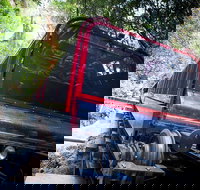 Blue Mountains Hop-on Hop-off Tour with Optional Scenic World Rides - Rent Accommodation