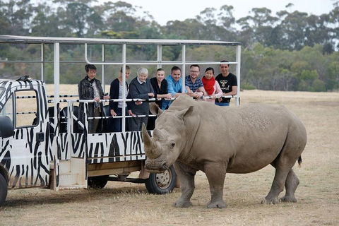 Off-Road Safari At Werribee Open Range Zoo - Rent Accommodation 0