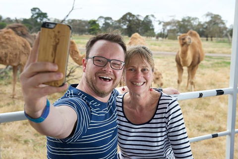 Off-Road Safari At Werribee Open Range Zoo - Rent Accommodation 1