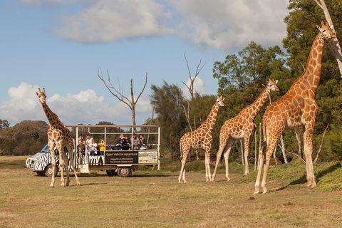 Off-Road Safari At Werribee Open Range Zoo - Rent Accommodation 3