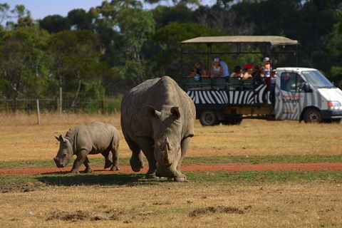 Off-Road Safari At Werribee Open Range Zoo - Rent Accommodation 5