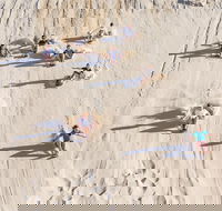 Unlimited Sandboarding - Rent Accommodation