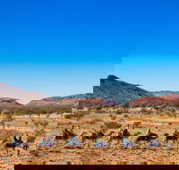 Alice Springs Camel Tour - Rent Accommodation