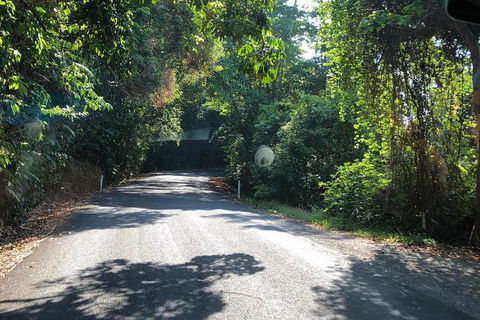 Cairns To Cooktown 4WD Tour - Rent Accommodation 0