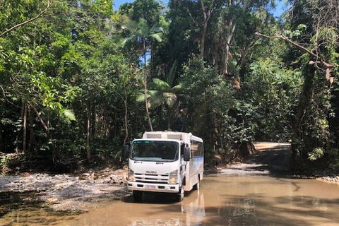 Cairns To Cooktown 4WD Tour - Rent Accommodation 5