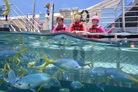 Outer Reef Pontoon Experience From Cairns - Rent Accommodation 0