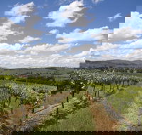 Hunter Valley Wine Tour from Sydney incl Lunch Cheese Chocolate and Distillery - Rent Accommodation